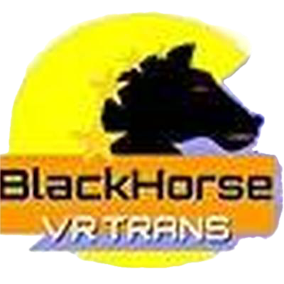 BlackHorse VR Trans trans VR porn